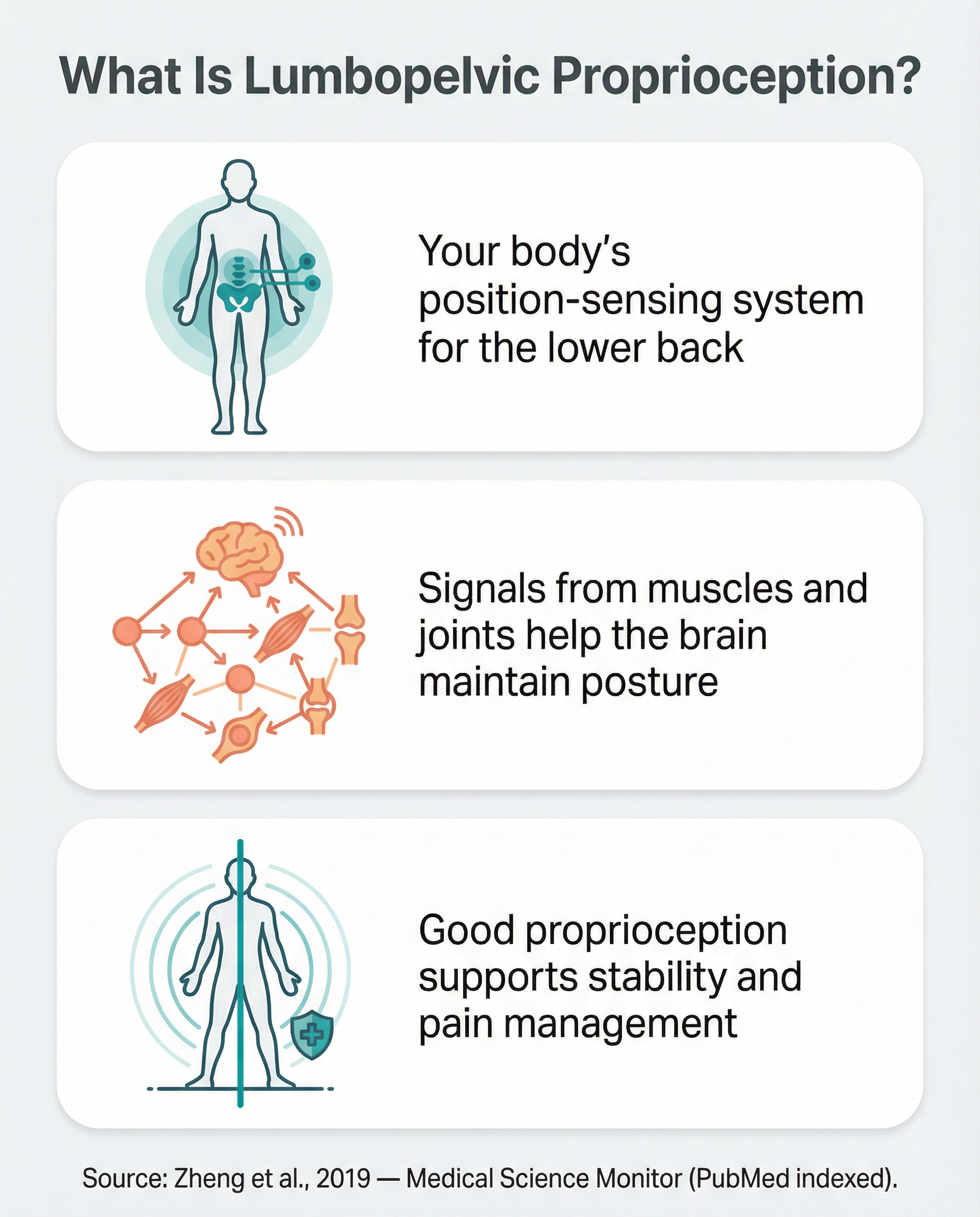 Infographic explaining lumbopelvic proprioception โ the body's position sensing system for the lower back and pelvis โ in plain English